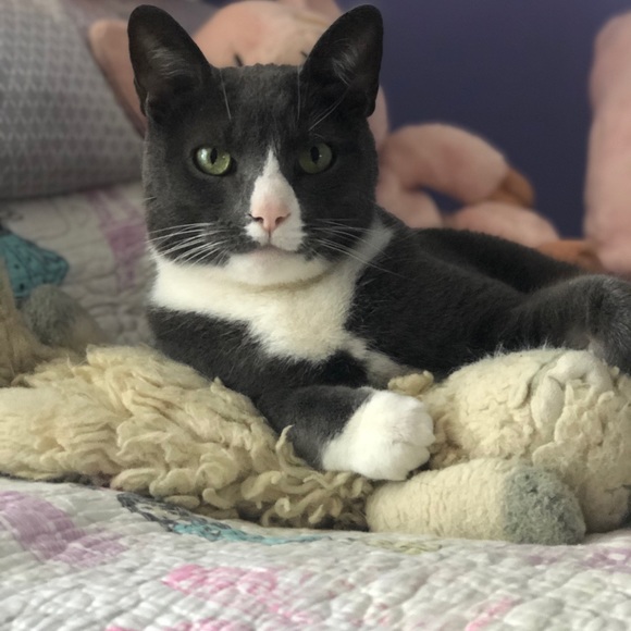 Meet your Posher, Nicole - Picture 3 of 3